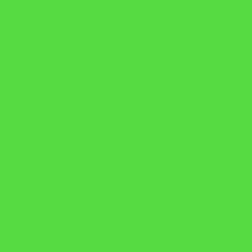 Professional Spray Paint - Fluorescent Green
